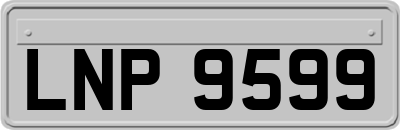 LNP9599