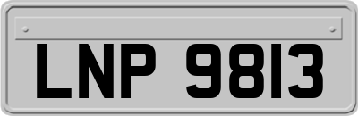 LNP9813