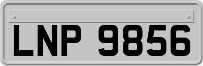 LNP9856