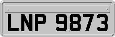 LNP9873
