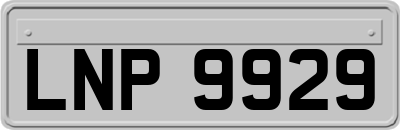 LNP9929