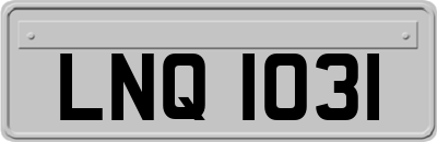 LNQ1031