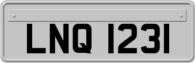 LNQ1231