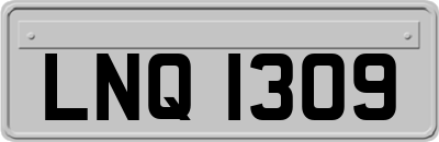 LNQ1309