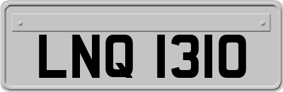 LNQ1310