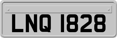 LNQ1828
