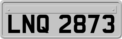 LNQ2873