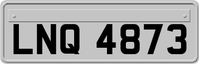 LNQ4873