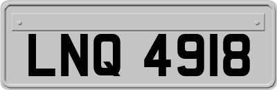 LNQ4918