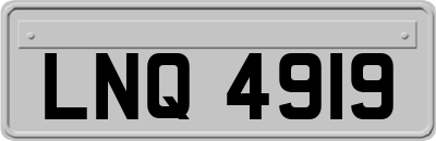 LNQ4919