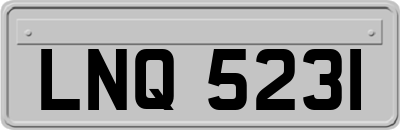 LNQ5231