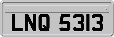 LNQ5313