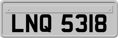 LNQ5318