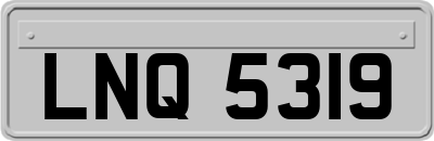 LNQ5319