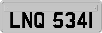 LNQ5341