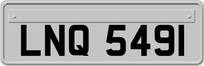 LNQ5491