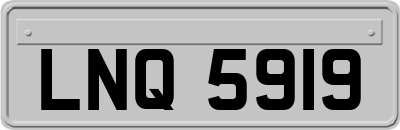 LNQ5919