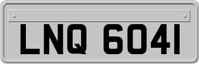 LNQ6041
