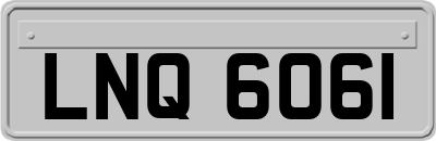 LNQ6061