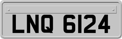 LNQ6124