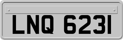 LNQ6231
