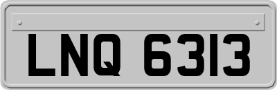 LNQ6313
