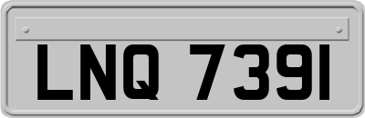 LNQ7391