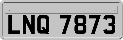 LNQ7873