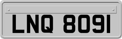 LNQ8091