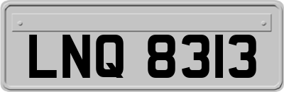 LNQ8313