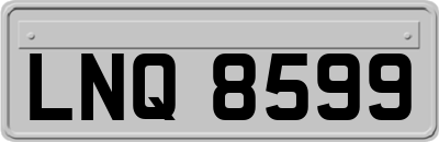 LNQ8599
