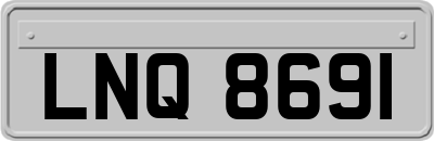 LNQ8691