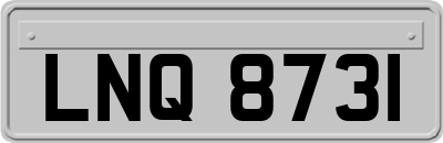 LNQ8731