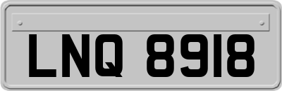 LNQ8918