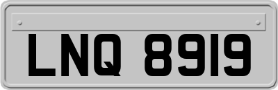 LNQ8919