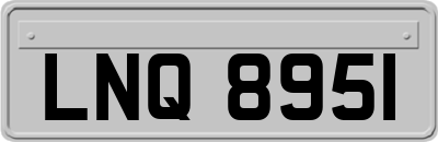 LNQ8951
