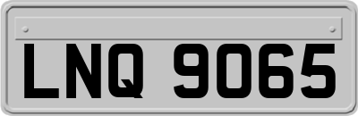 LNQ9065
