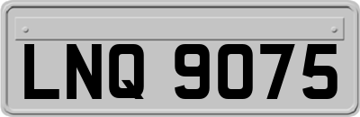 LNQ9075