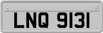 LNQ9131