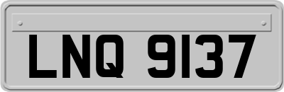 LNQ9137