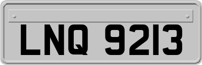 LNQ9213