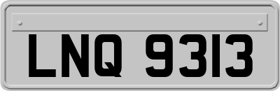 LNQ9313