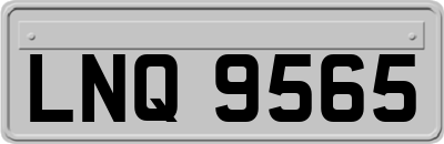 LNQ9565
