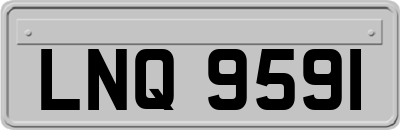 LNQ9591
