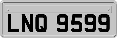 LNQ9599