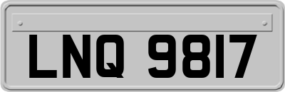 LNQ9817
