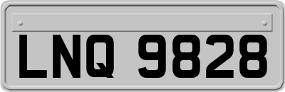 LNQ9828