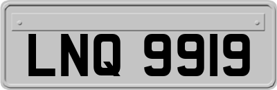 LNQ9919