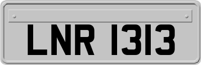 LNR1313
