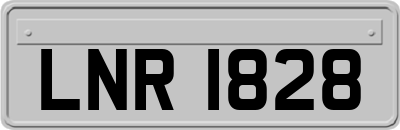 LNR1828